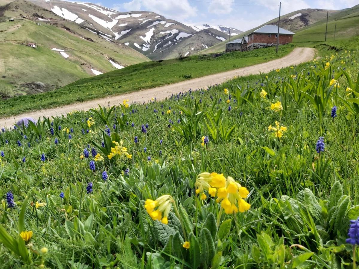 Alya Teras Otel Trabzon Dış mekan fotoğraf